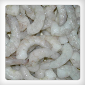FROZEN RAW PENAEUS VANNAMEI SHRIMP