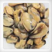 FROZEN BOILED MUSSEL MEAT