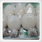 FROZEN BABY CUTTLEFISH