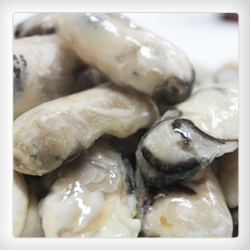 Frozen Oysters