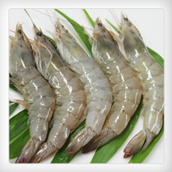 Hoso Vannamei shrimp