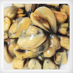 Mussel meat